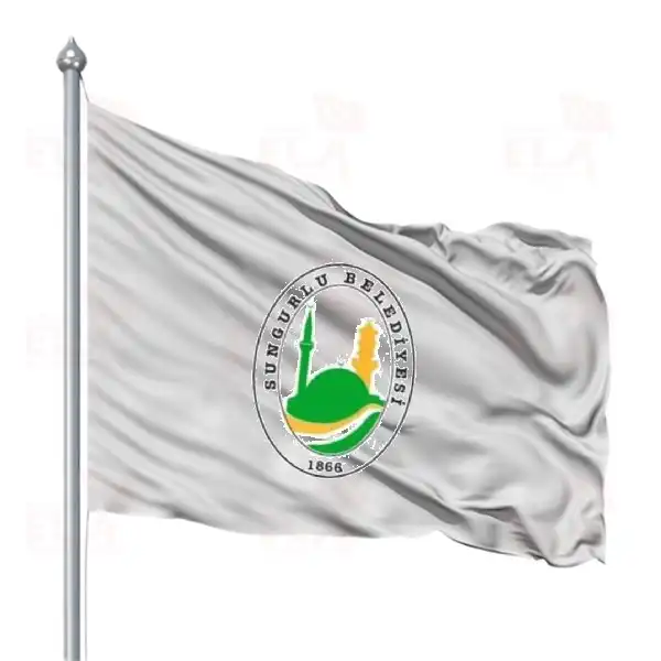 Sungurlu Belediyesi Gnder Flamas ve Bayraklar