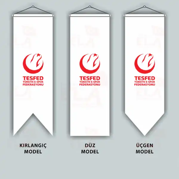 Trkiye E-Spor Federasyonu Krlang Flamalar Bayraklar