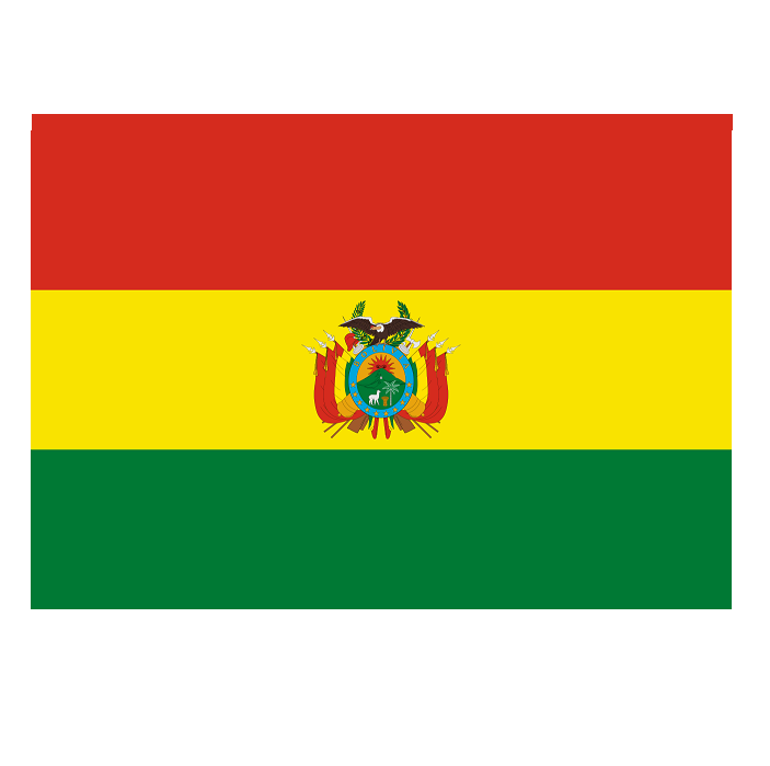 Bolivya Bayraklar