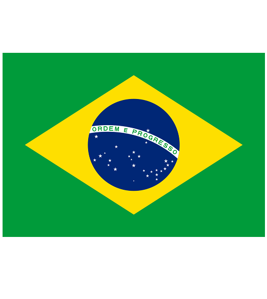 Brezilya Bayrak