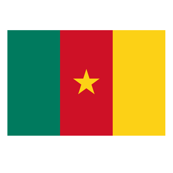Kamerun Bayraklar