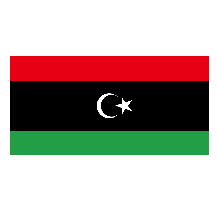 Libya Bayrak