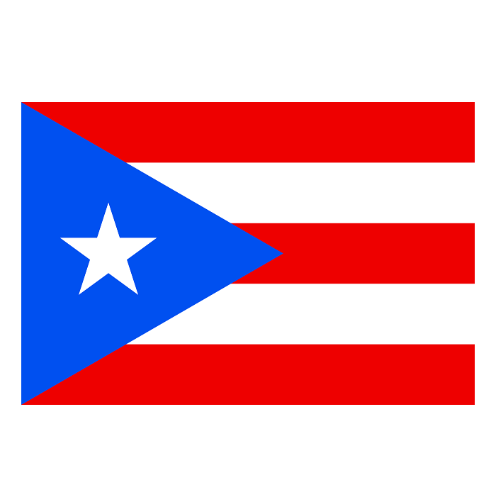 Porto Riko Bayra