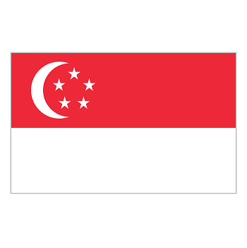 Singapur Bayrak