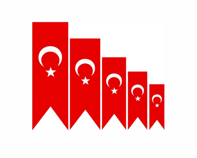 Trkiye Deiim Partisi Bayraklar